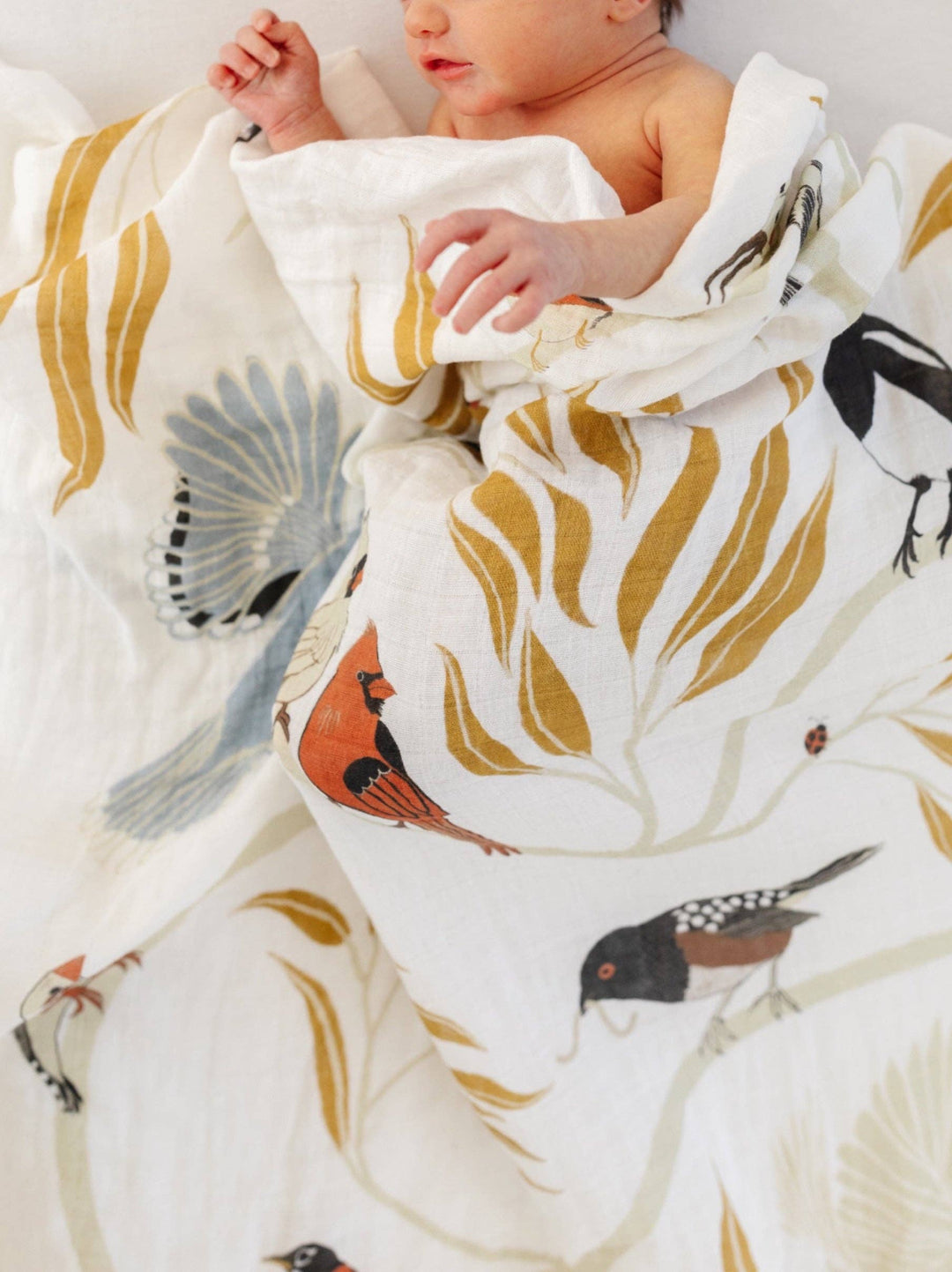 For the Birds Swaddle | Clementine Kids