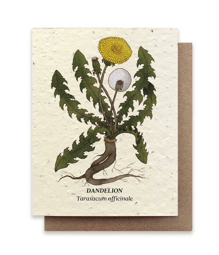 Dandelion Plantable Wildflower Seed Card | Small Victories