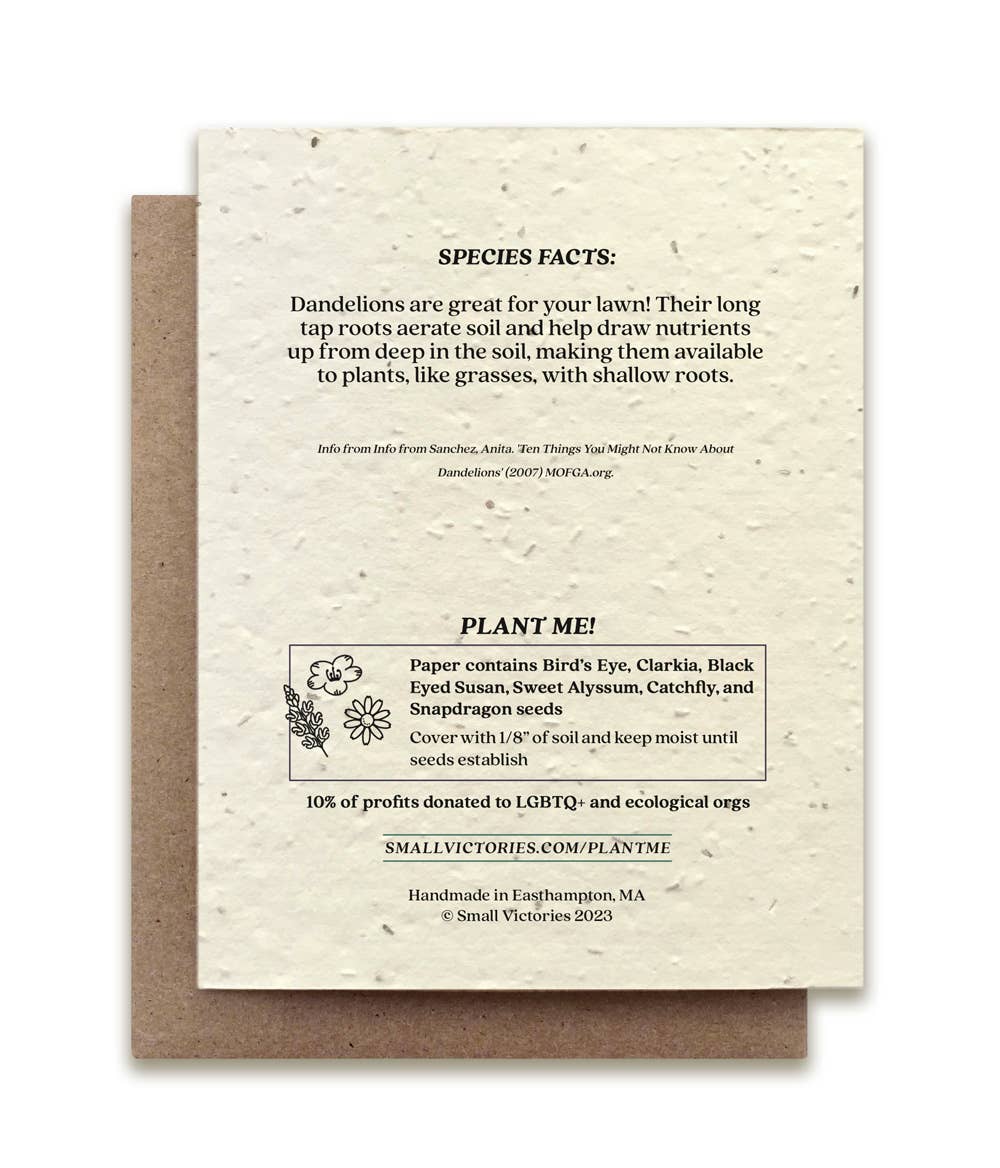 Dandelion Plantable Wildflower Seed Card | Small Victories