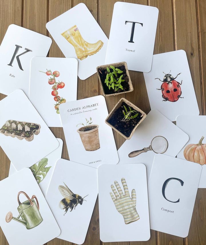 Garden Alphabet Cards, ABC Learning Flash Cards | Feed & Dwell