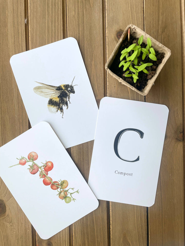 Garden Alphabet Cards, ABC Learning Flash Cards | Feed & Dwell