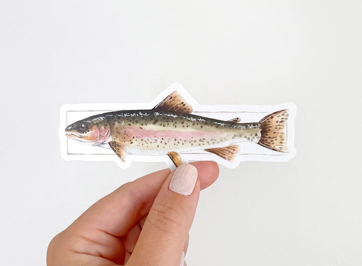 Rainbow Trout Vinyl Sticker | NorthHouse Creative Co.