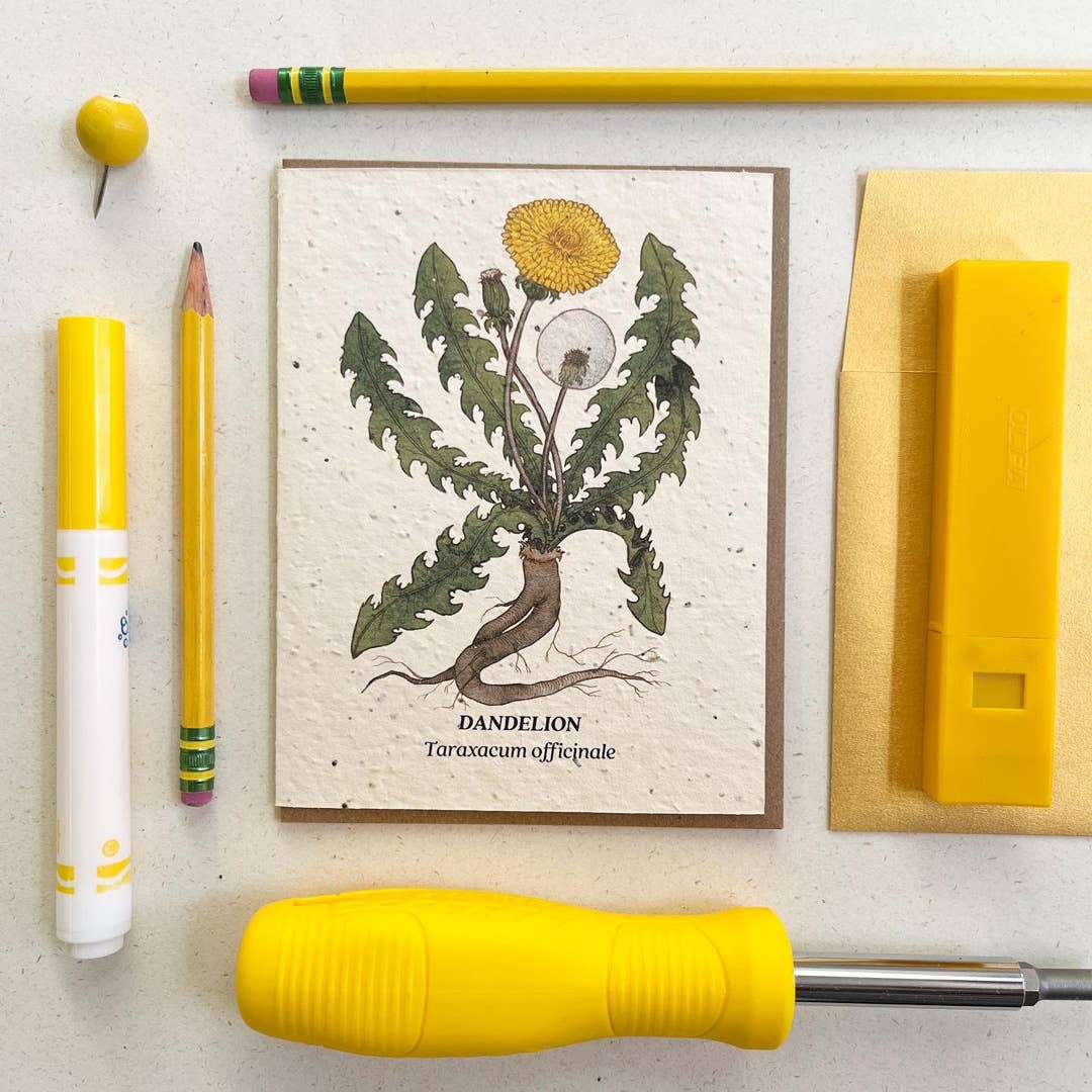 Dandelion Plantable Wildflower Seed Card | Small Victories