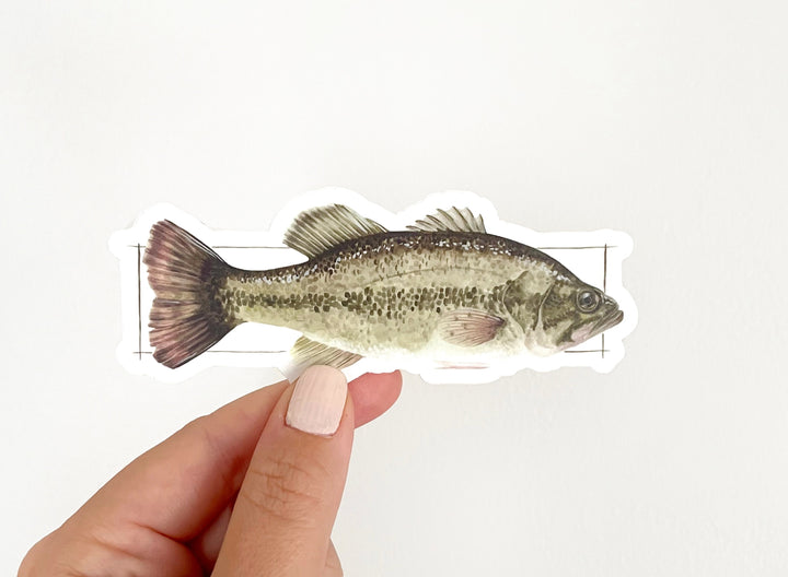 Smallmouth Bass Vinyl Sticker | NorthHouse Creative Co.