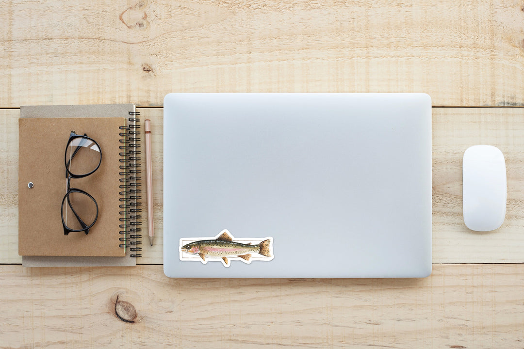 Rainbow Trout Vinyl Sticker | NorthHouse Creative Co.