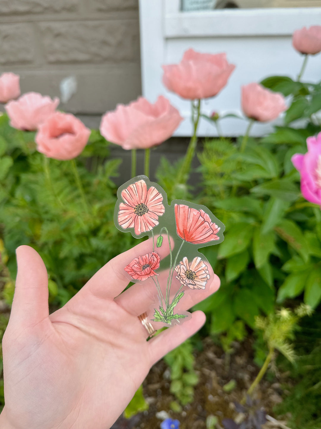 Pretty Poppy Sticker
