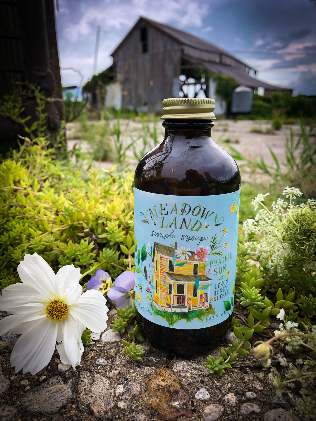 Prairie Sun Simple Syrup | Meadowland Syrup